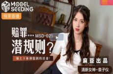 MSD-025 Unspoken Rules of Compensation – Yuan Ziyi